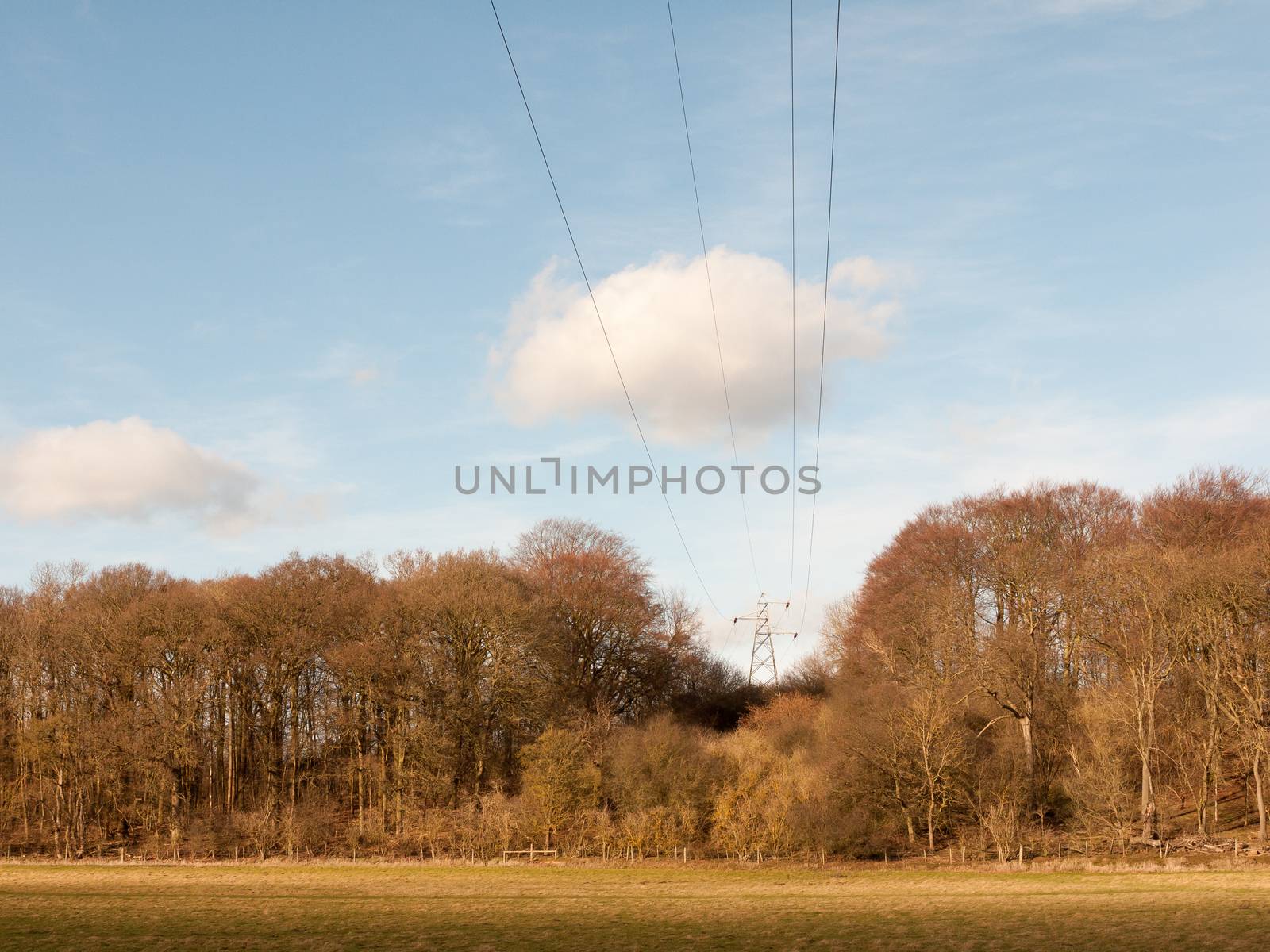 view of large electrical wire metal pylon outside in nature field wires overhead; essex; england; uk