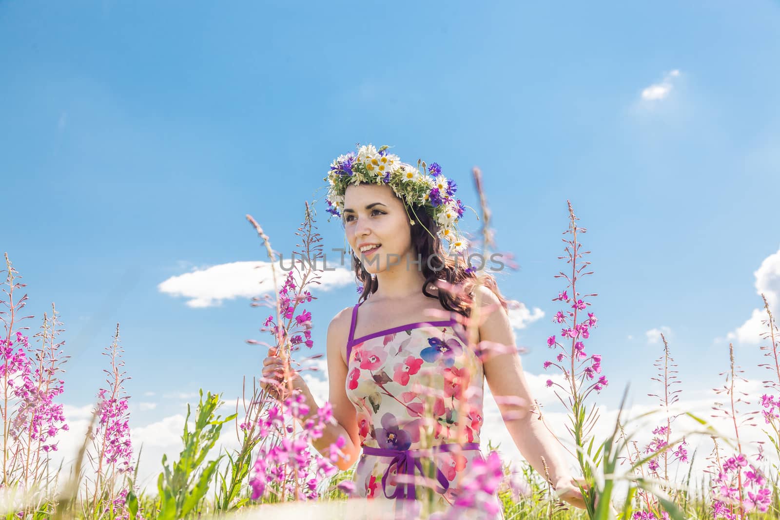 beautiful girl in field by sveter