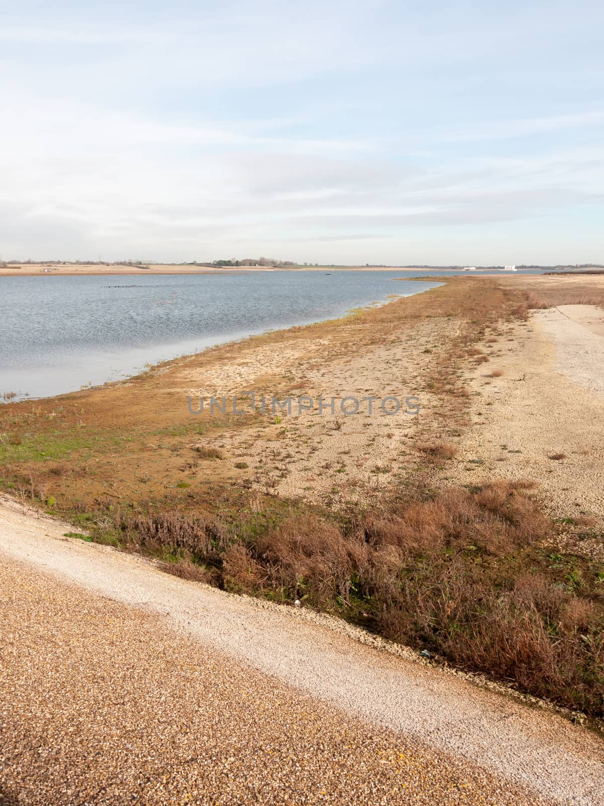 sandy beach texture dunes coast nature reserve plain background shingle; essex; england; uk