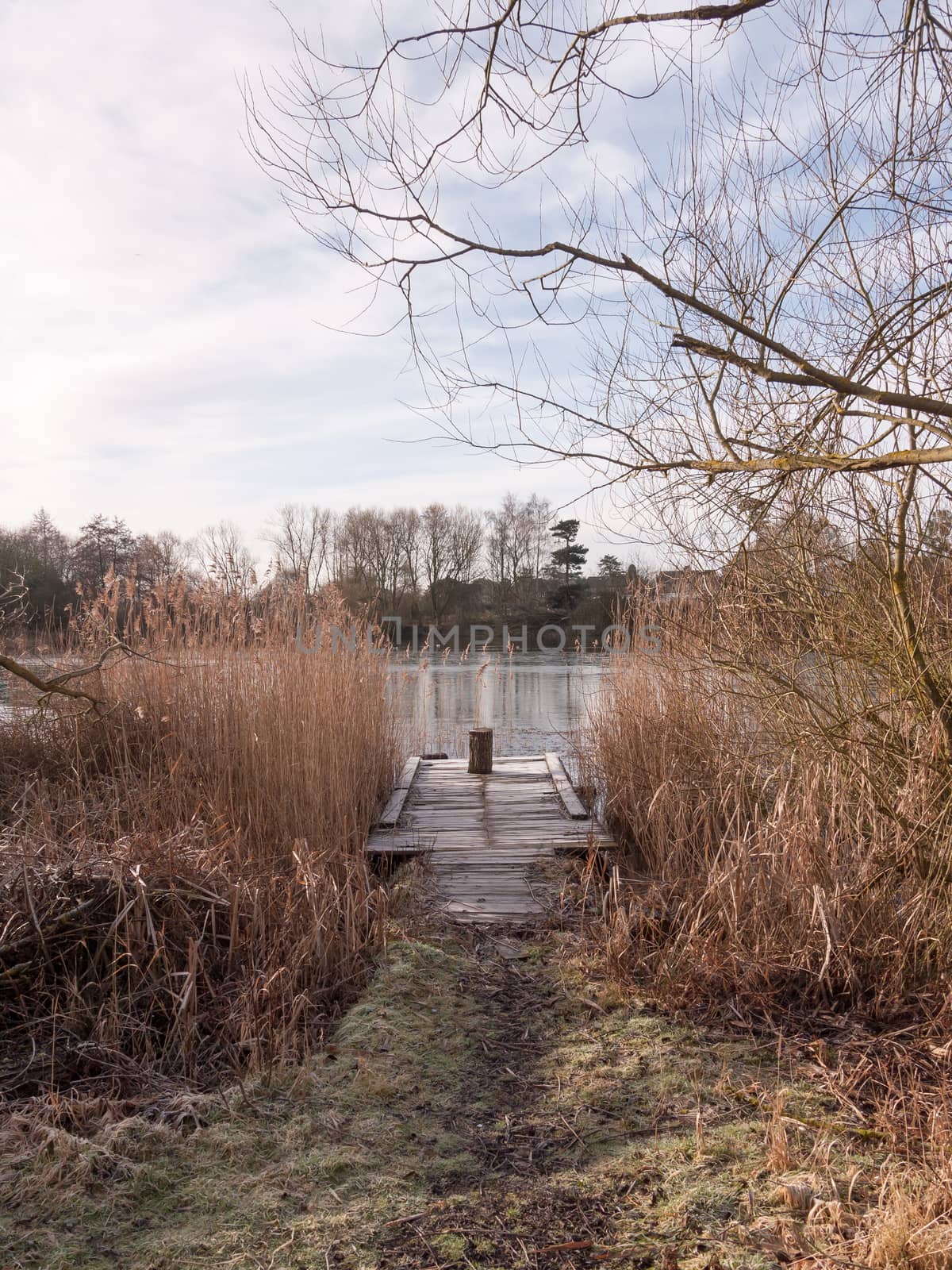 cold lake autumn winter landscape pontoon scene wooden stump reeds; essex; england; uk