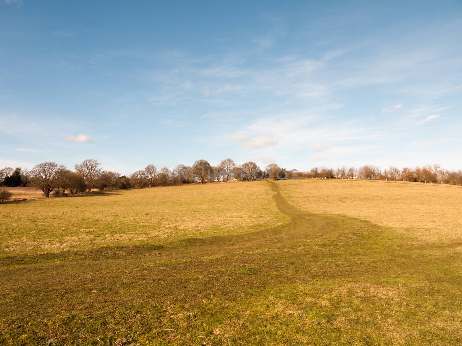 massive open plain farm field grass agriculture england blue sky ahead big empty path; essex; england; uk