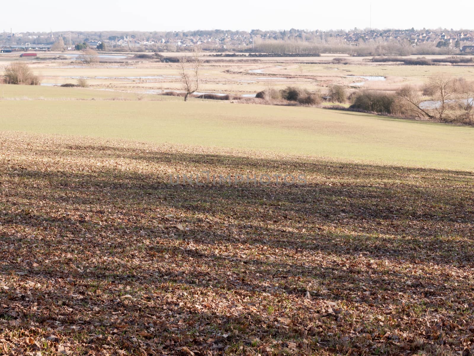 view of large valley with lake river and row of trees in the distance outside brown texture floor; essex; england; uk