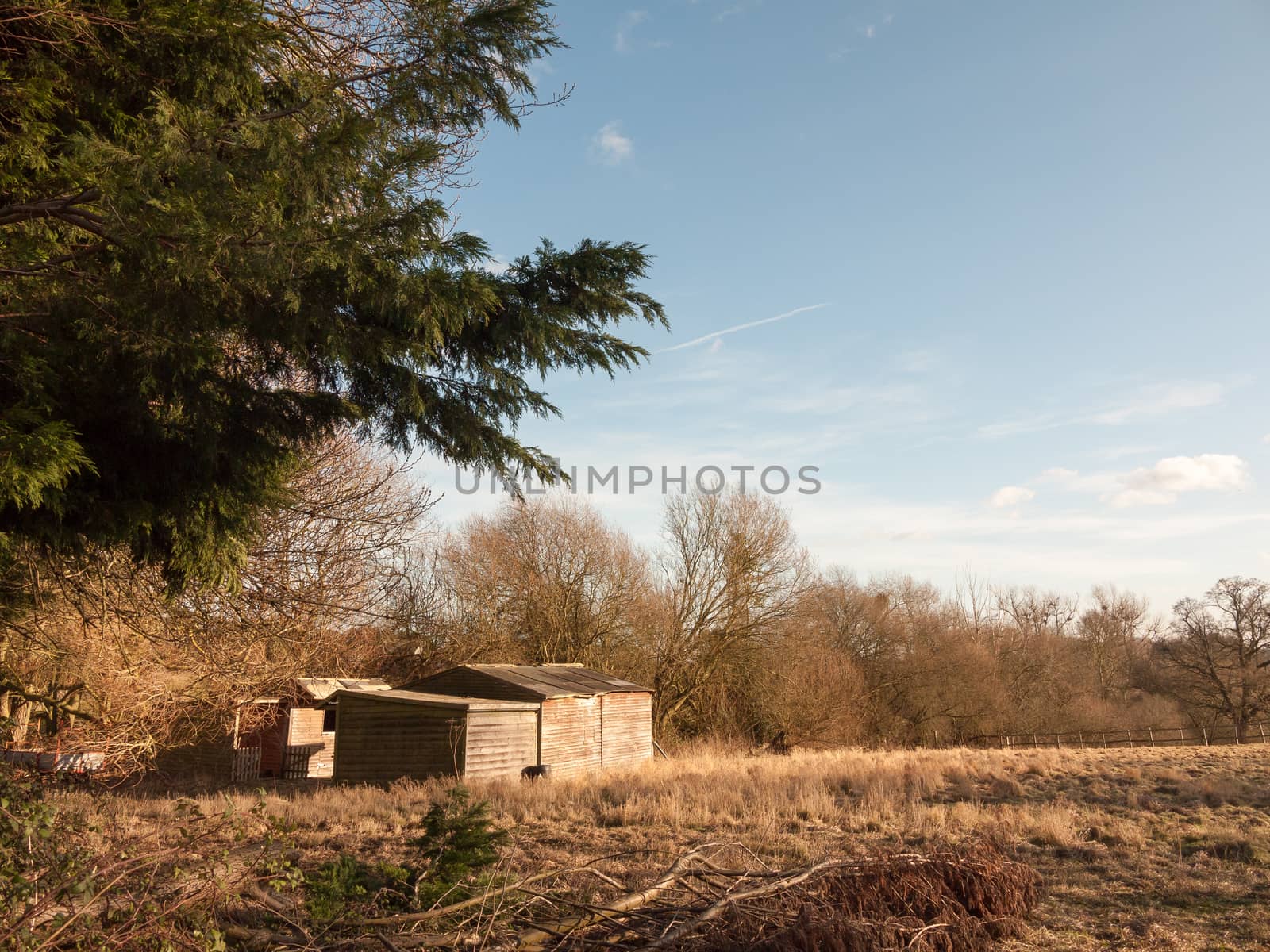 farm field outside with shed nature agriculture empty; essex; england; uk