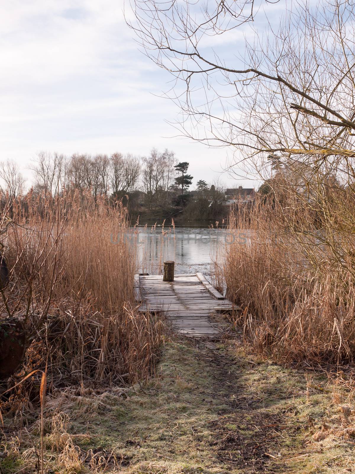 cold lake autumn winter landscape pontoon scene wooden stump reeds; essex; england; uk