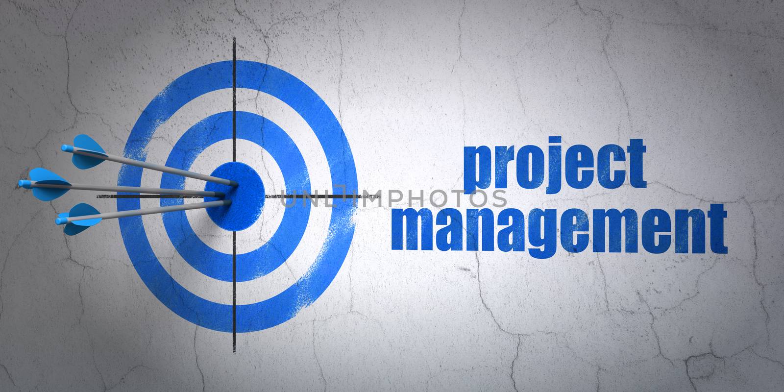 Success finance concept: arrows hitting the center of target, Blue Project Management on wall background, 3D rendering