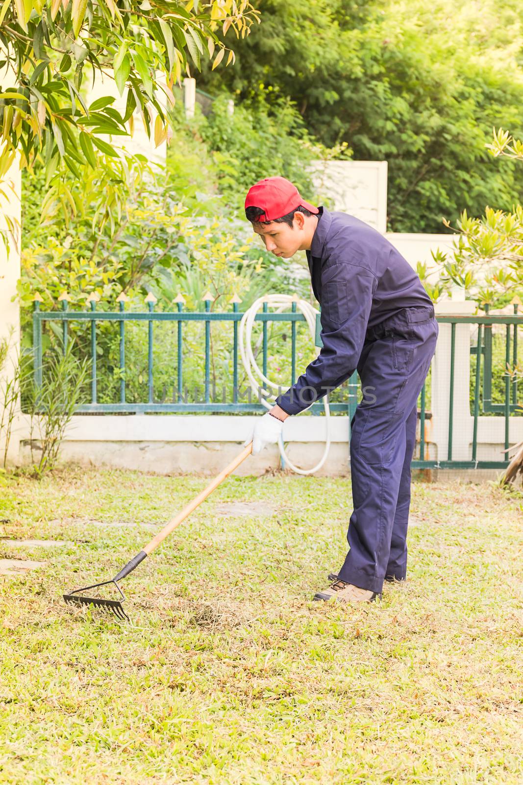 Young gardener with garden tools at work in home garden