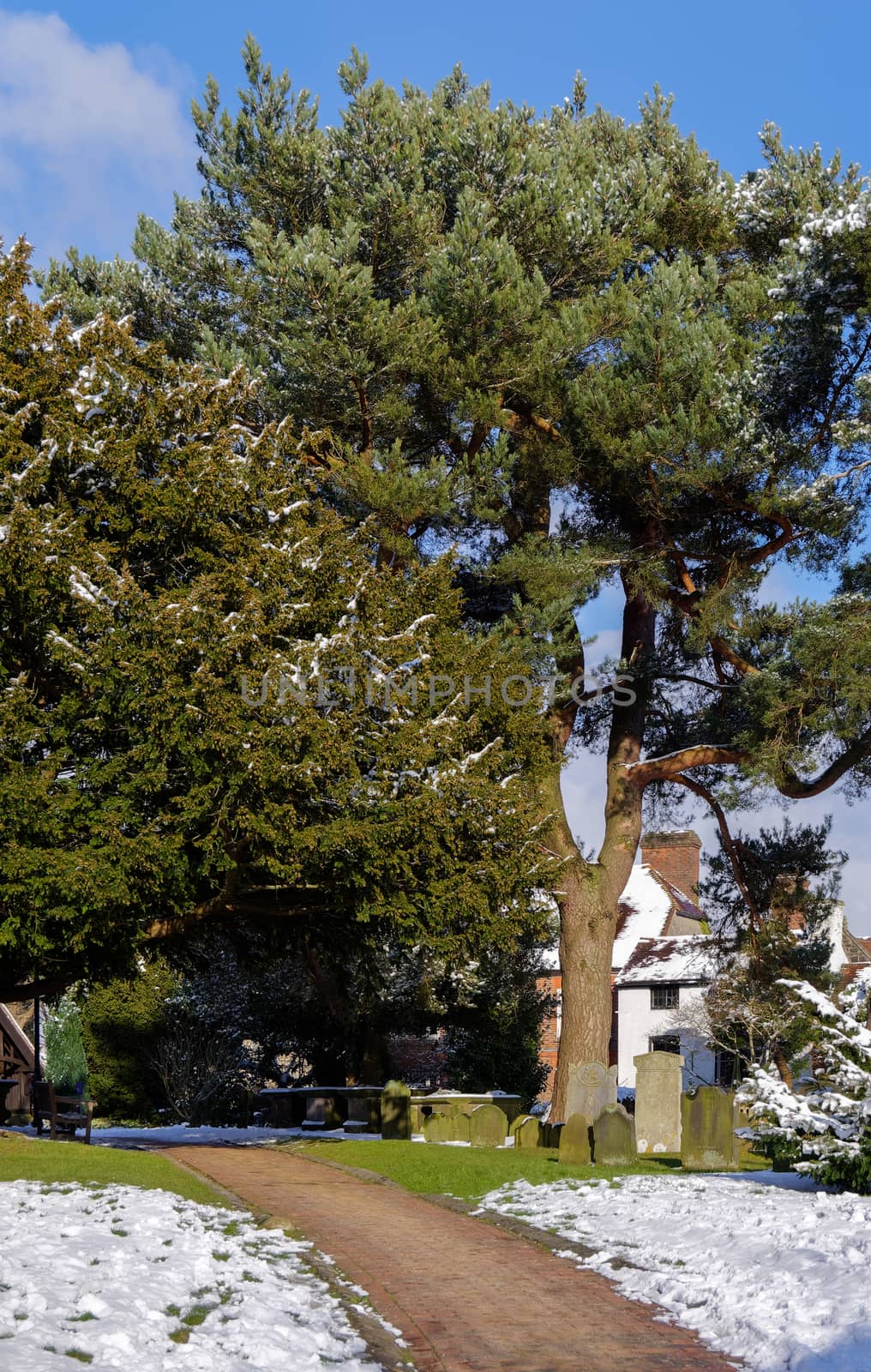 EAST GRINSTEAD, WEST SUSSEX/UK - FEBRUARY 27 : St Swithun's Church Gounds in East Grinstead on February 27, 2018