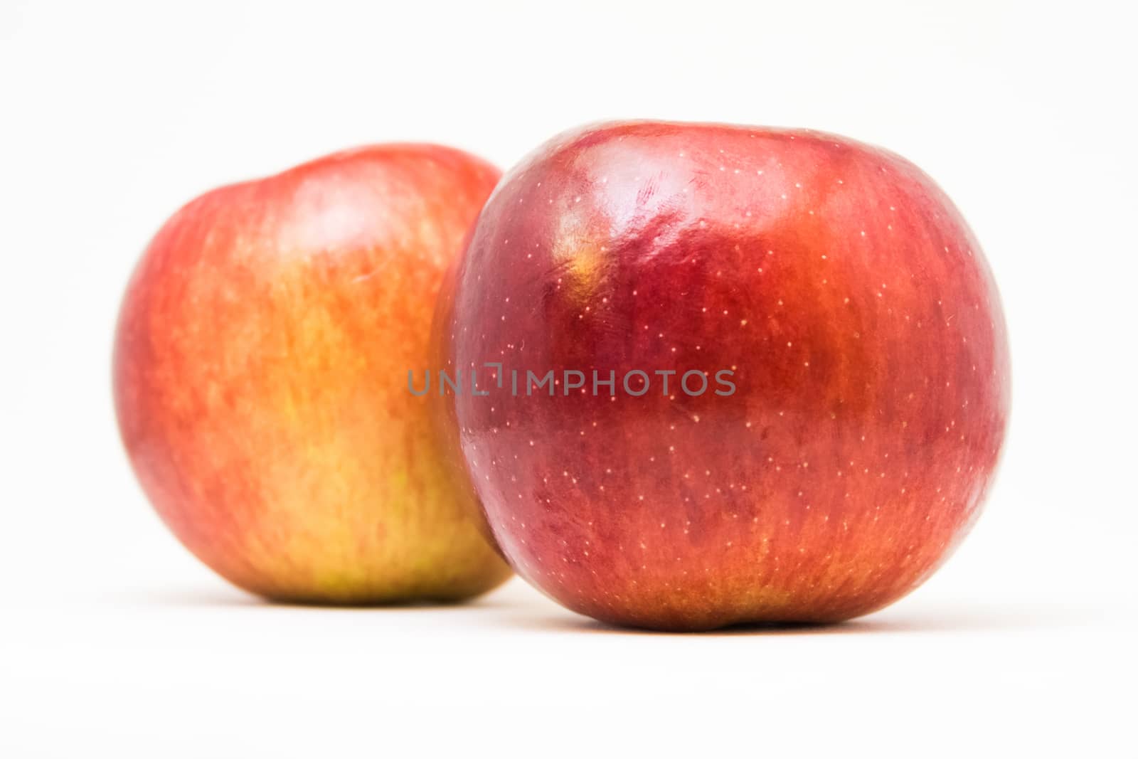 Two red apples isolated on white, bright smooth red skin and tiny white dots.