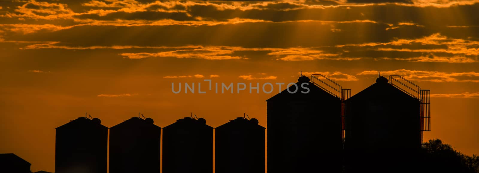 Agricultural silos, storage and drying for sunflower, soy, corn, wheat and grains.