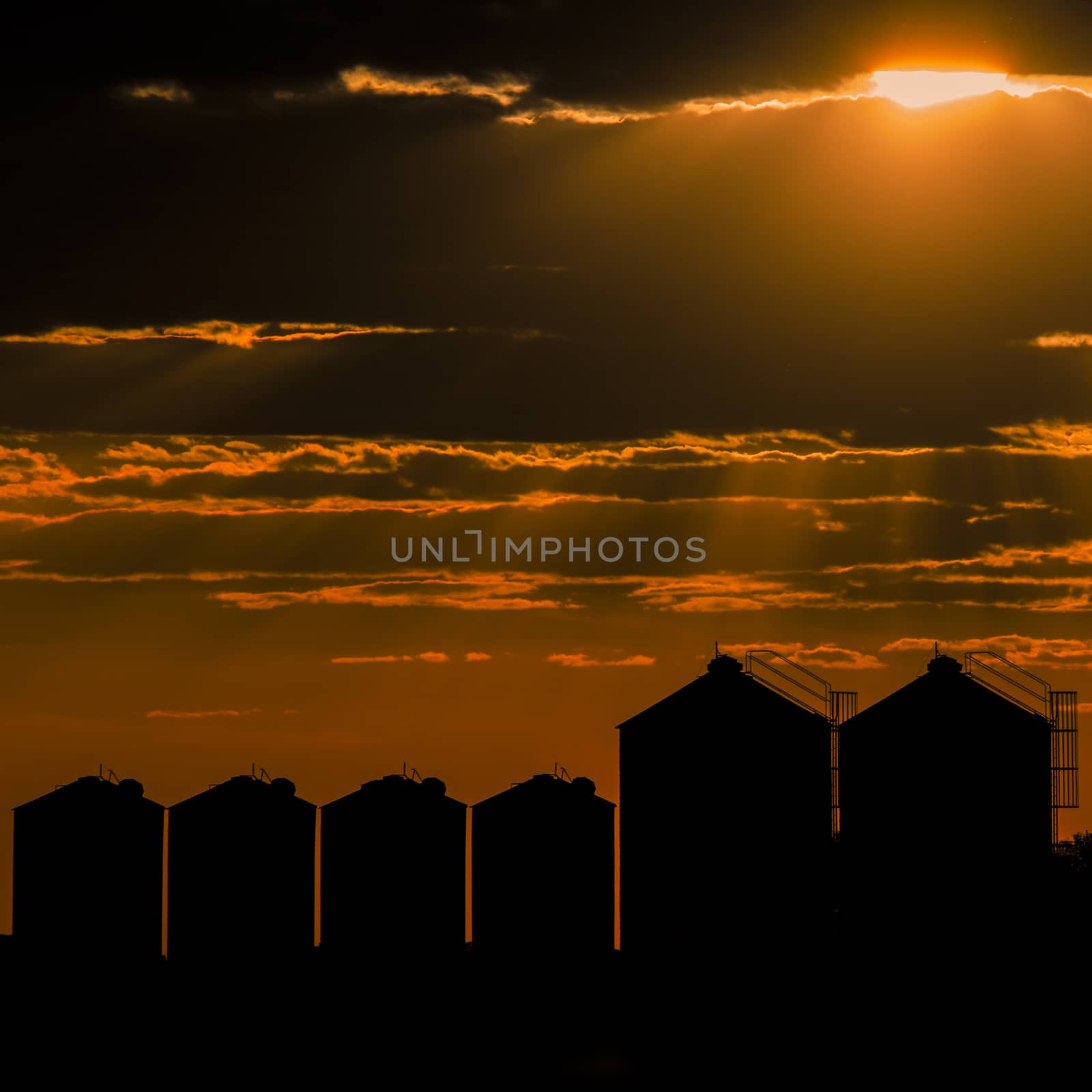 Agricultural silos, storage and drying for grains. by artistrobd