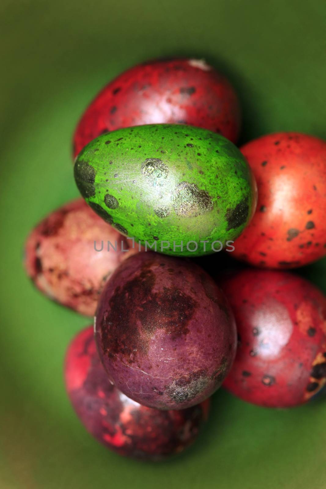 Colorful Speckled Easter Egg by friday