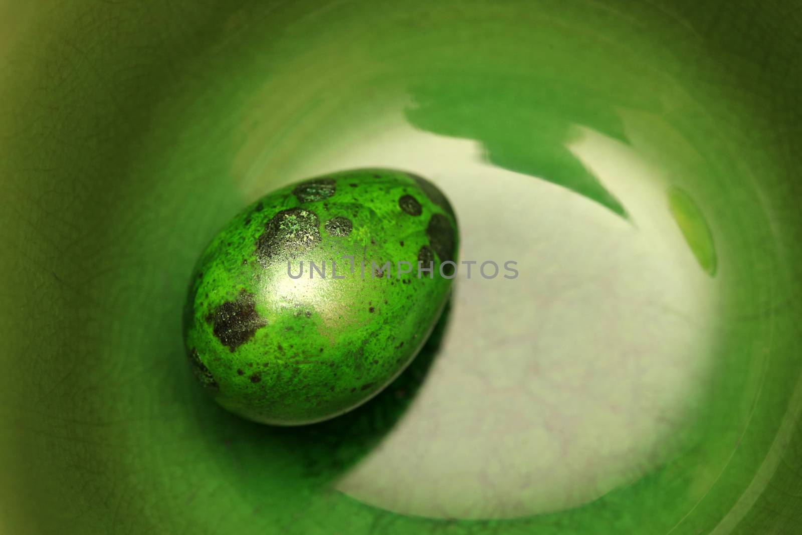 Green Easter Egg on Green Background