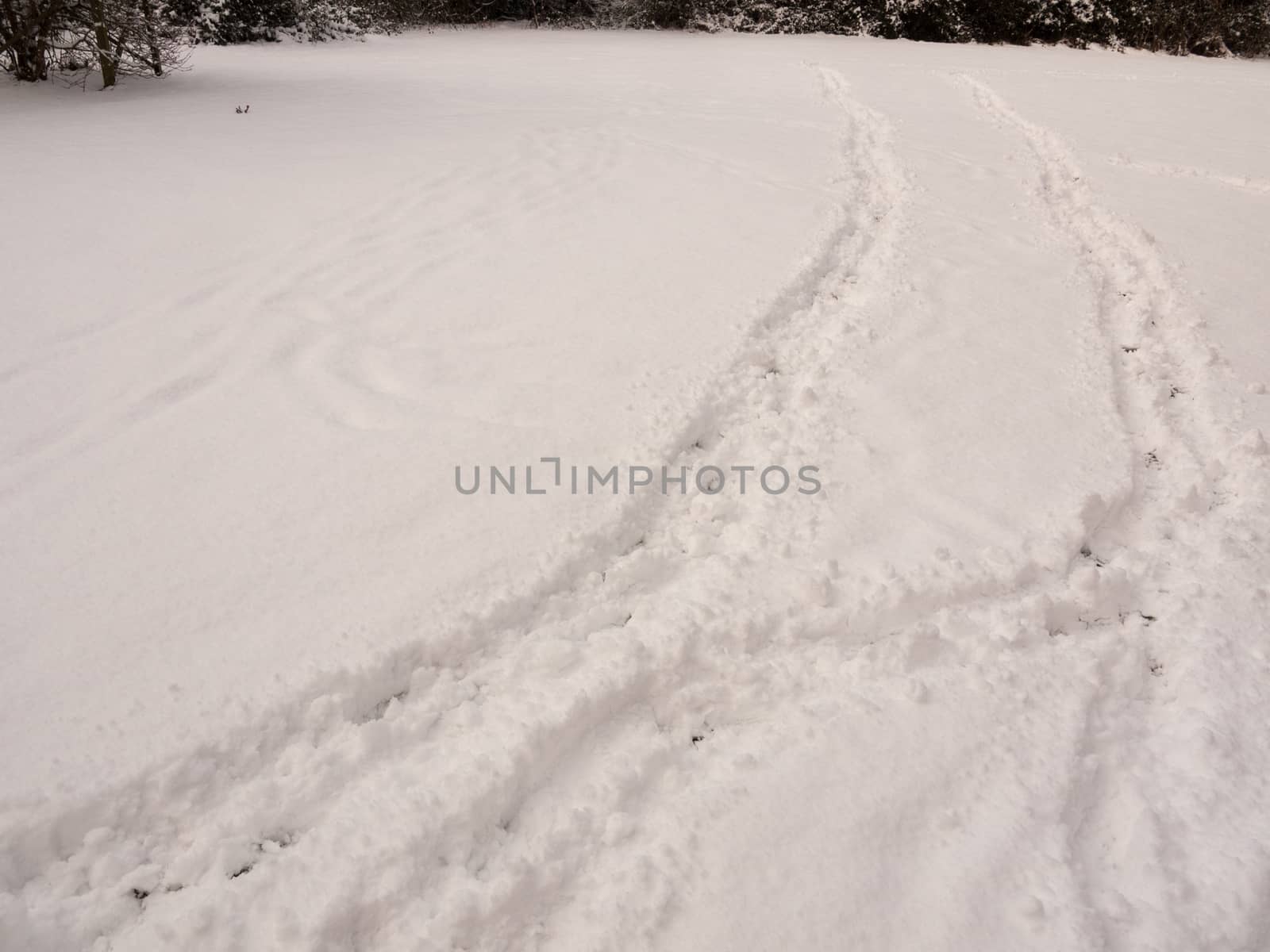 field covered in snow with two tracks through it landscape texture terrain; essex; england; uk