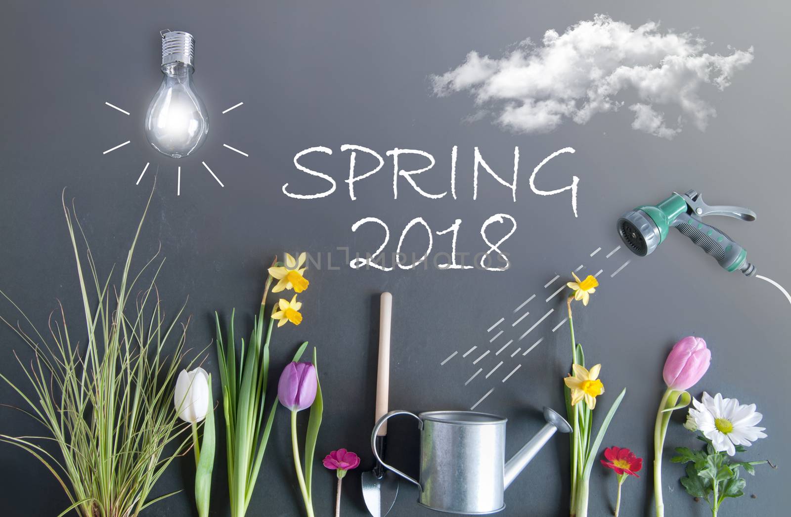 Spring 2018 background by unikpix