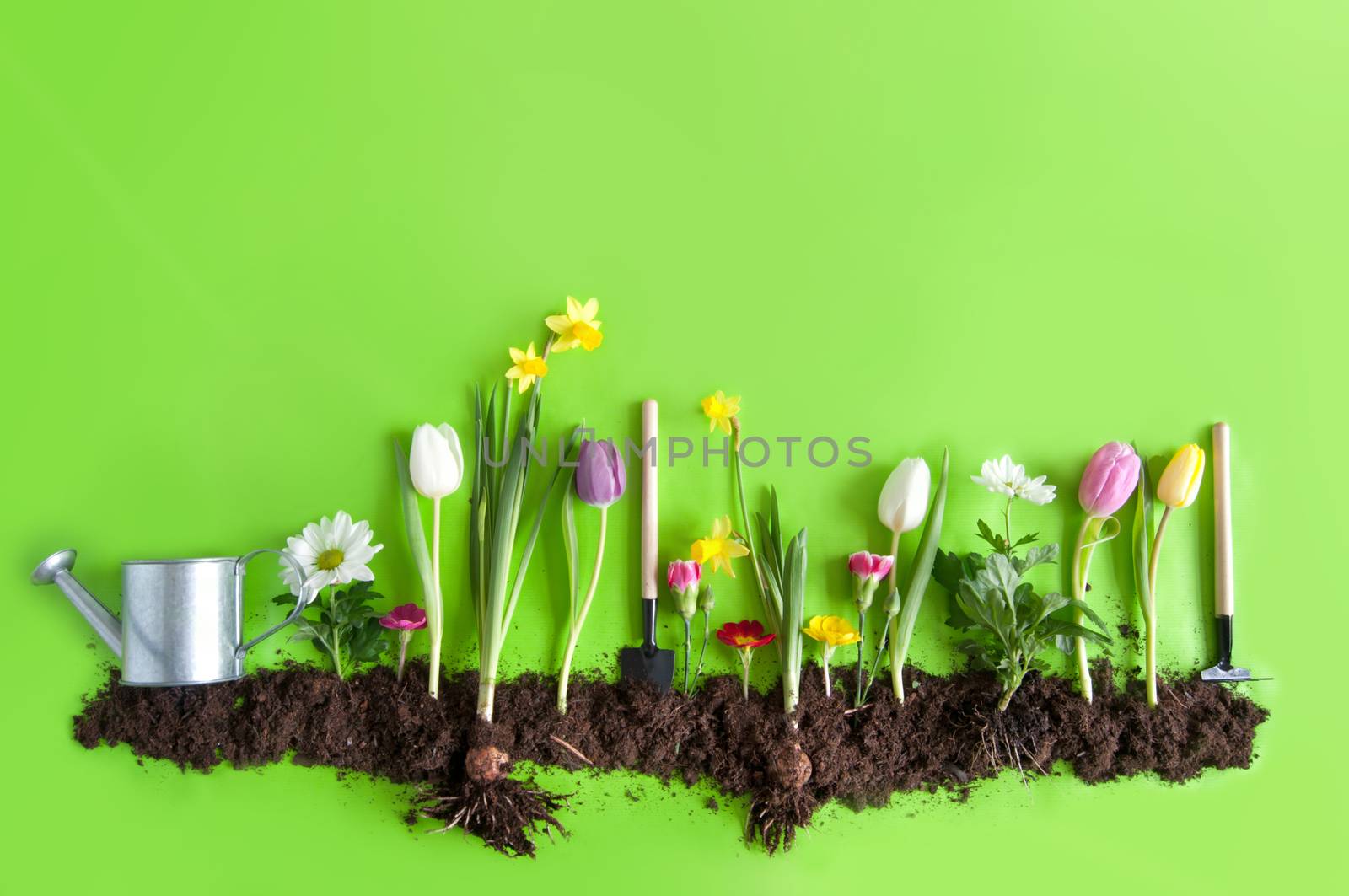 Spring flower bed garden on green paper background with space