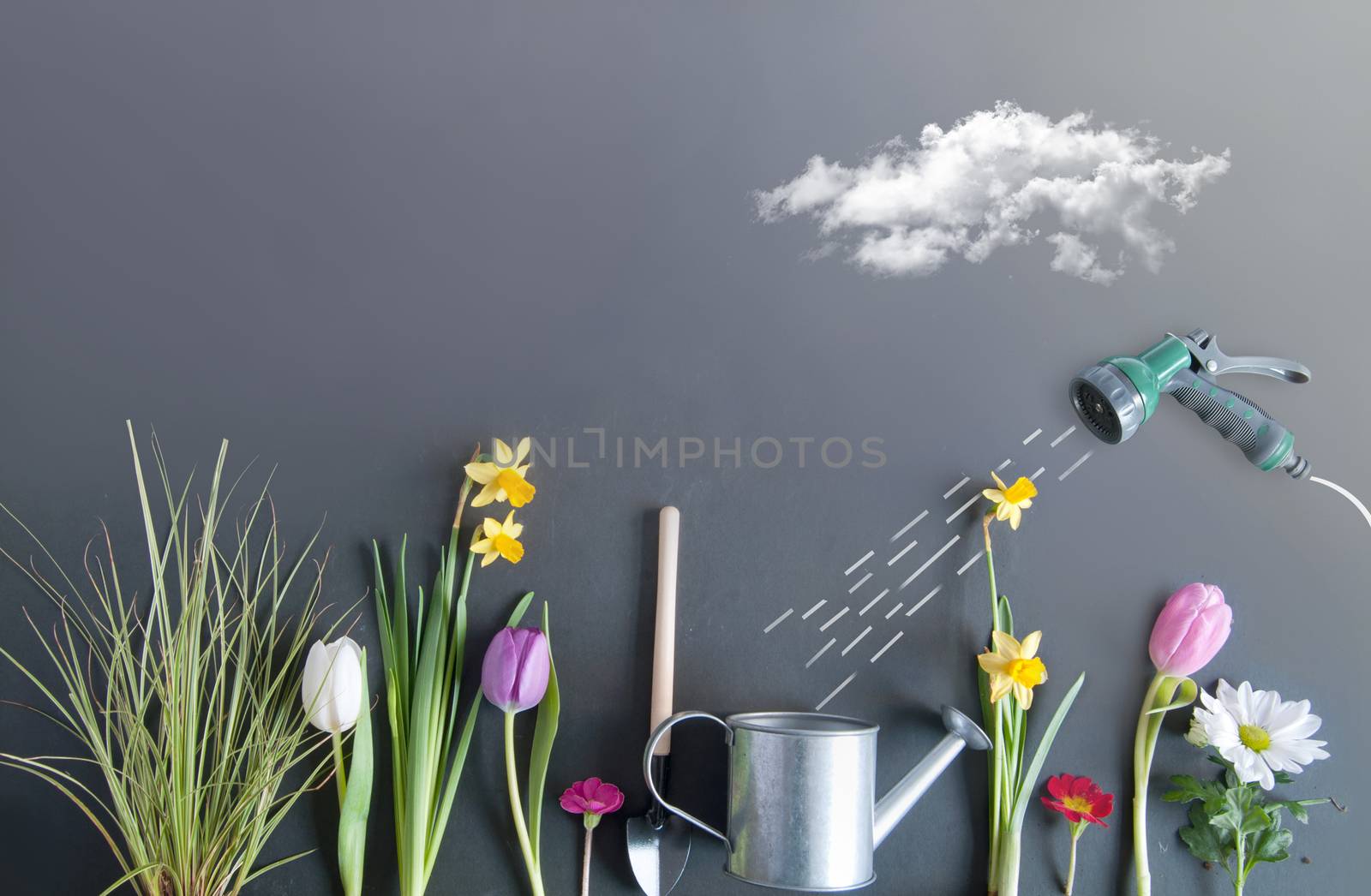 Spring flower bed garden with clouds, and hose pipe with a sketch of water being sprayed on top of a chalkboard 