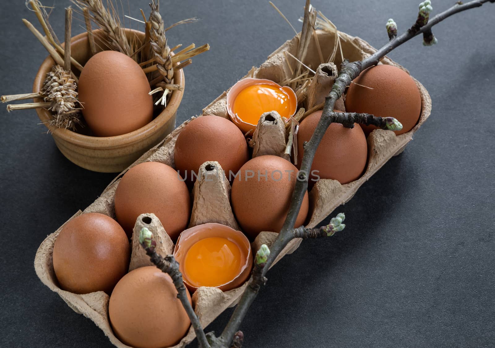 chicken eggs in a cardboard grid by ires007