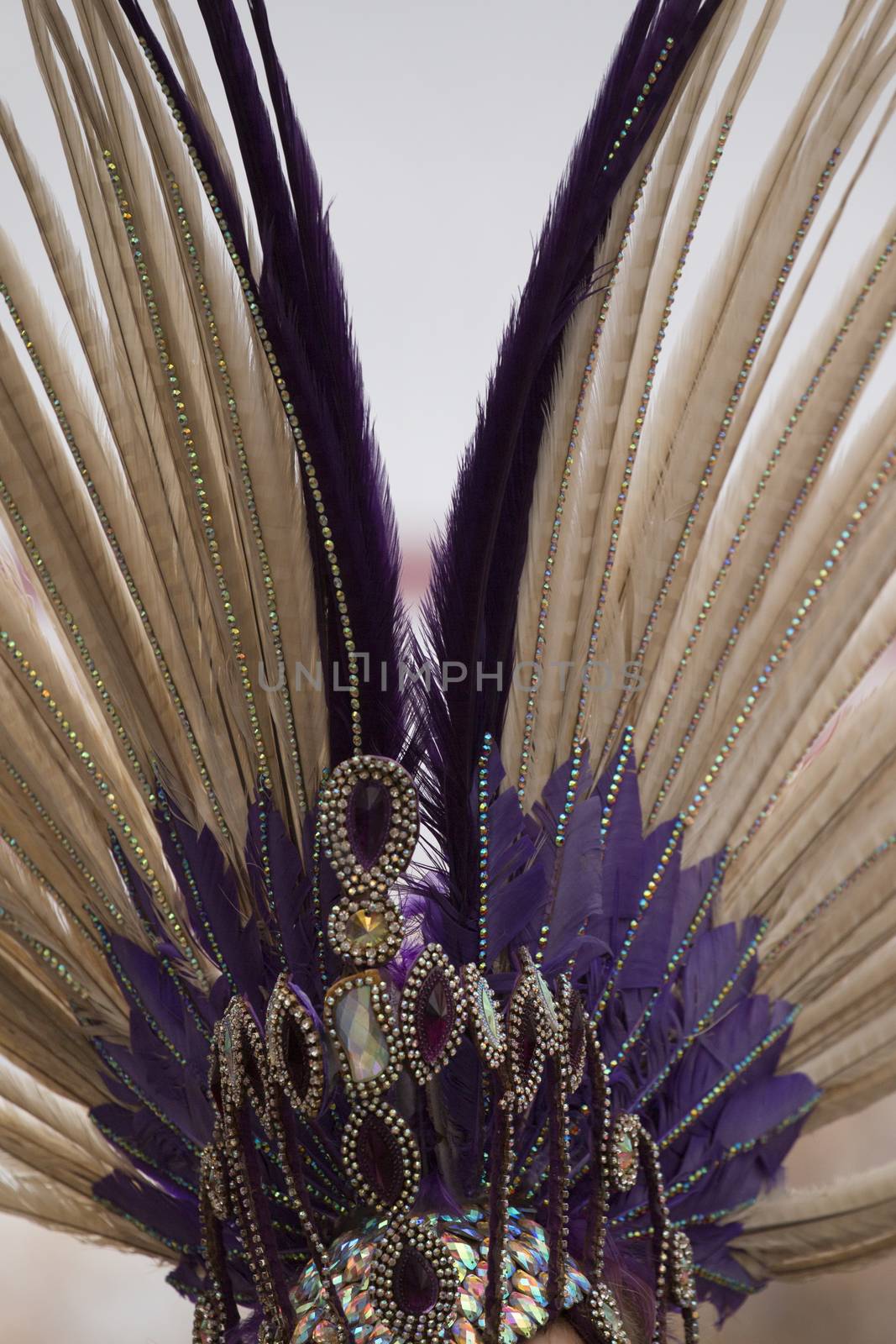 Close up of colorful feathers of a Carnival suit.