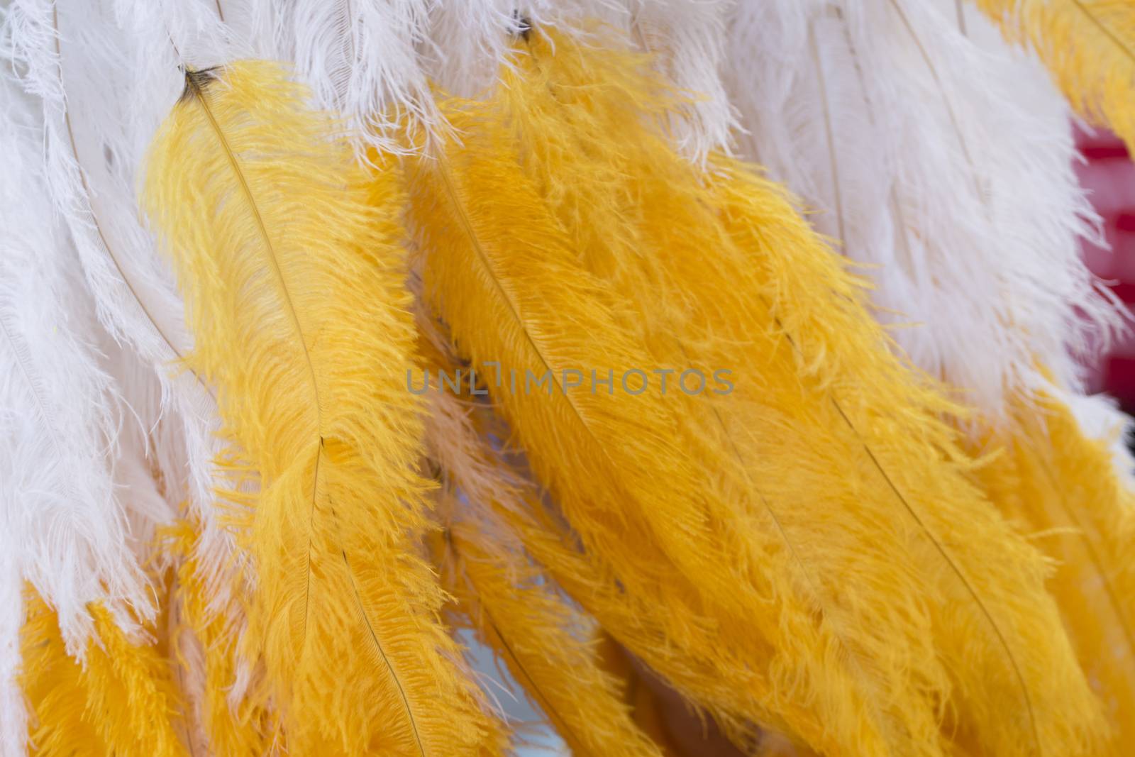 Colorful feathers of Carnival suit by membio