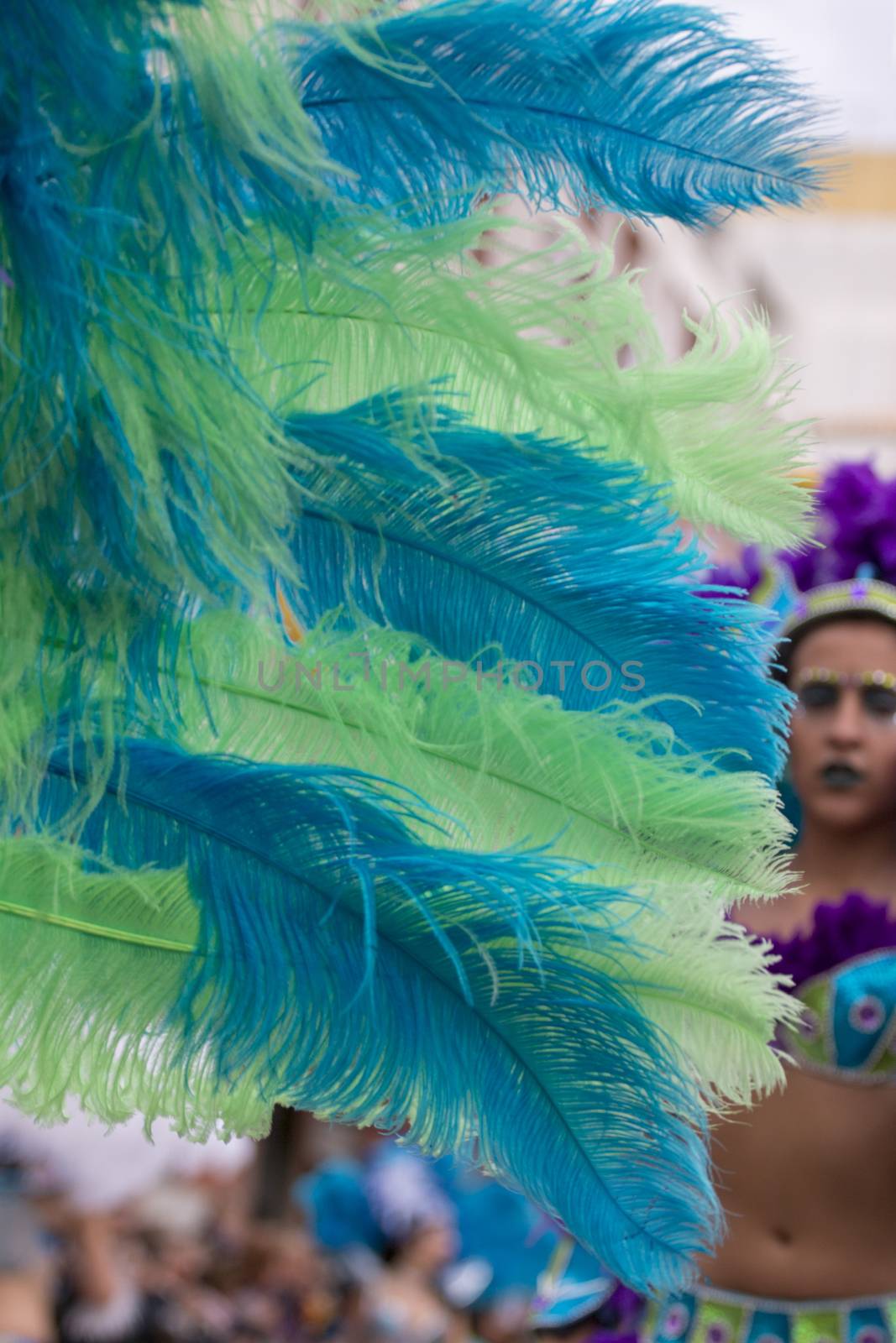 Colorful feathers of Carnival suit by membio