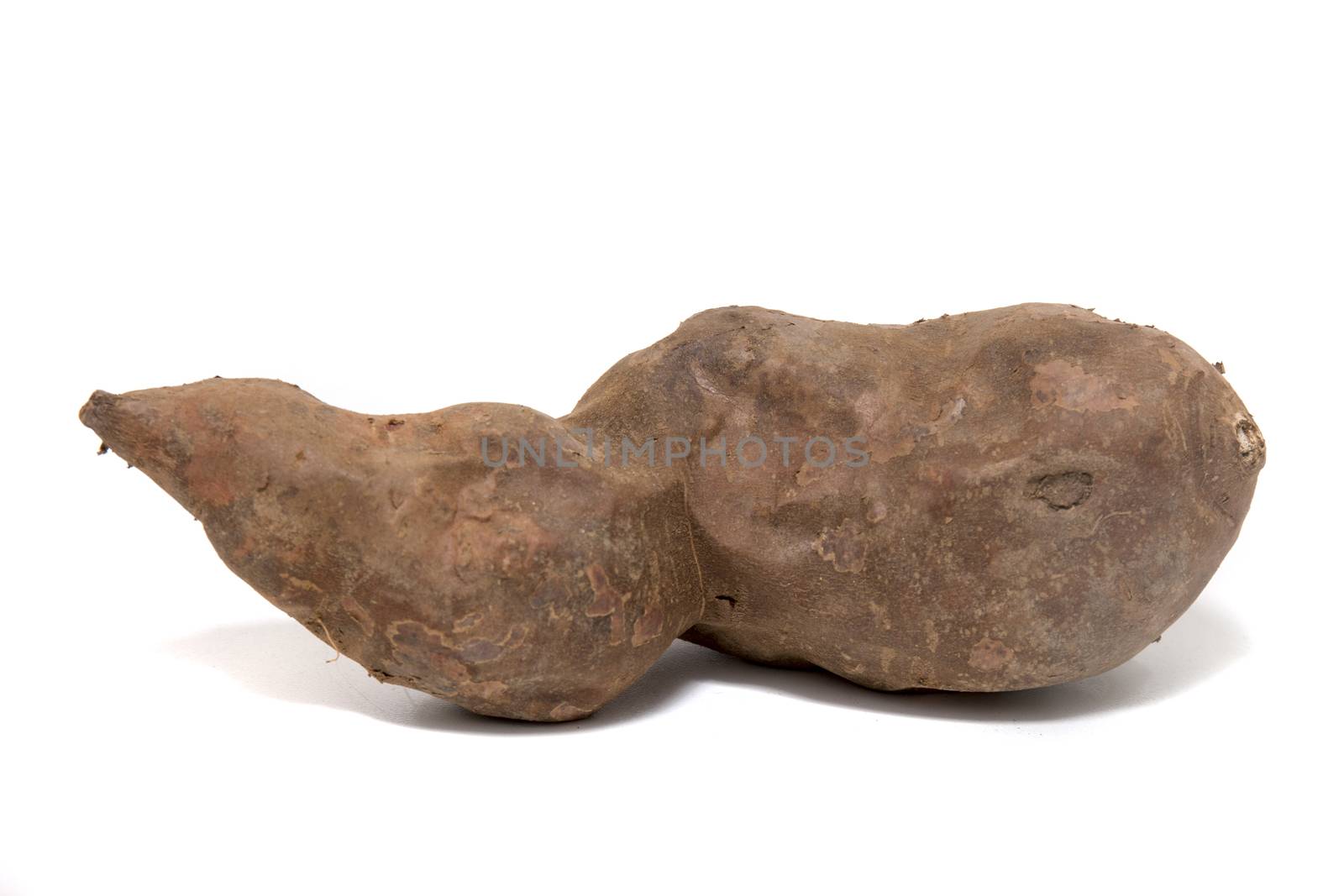 Close view of a sweet potato isolated on a white background