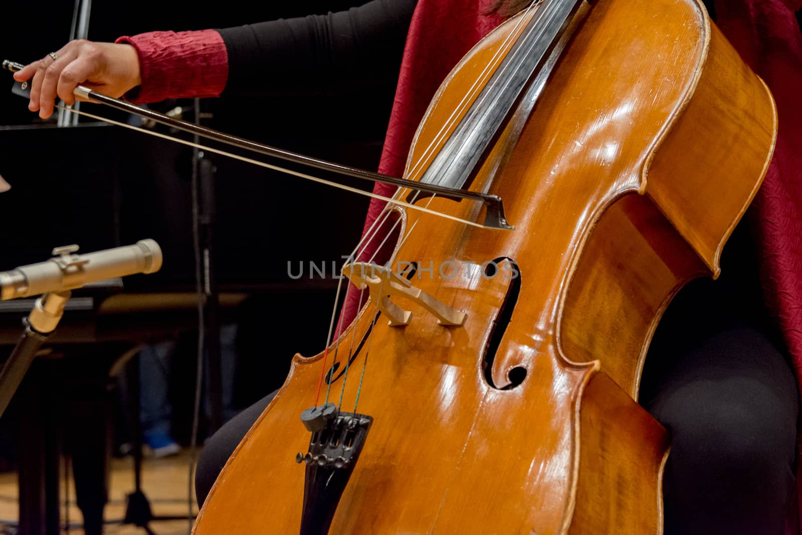 young woman plays cello