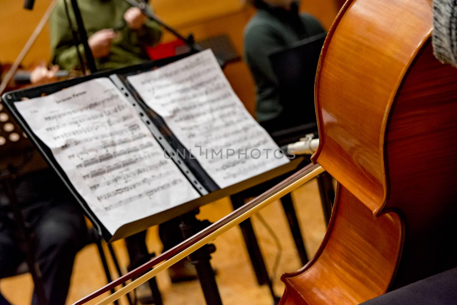 young woman plays cello