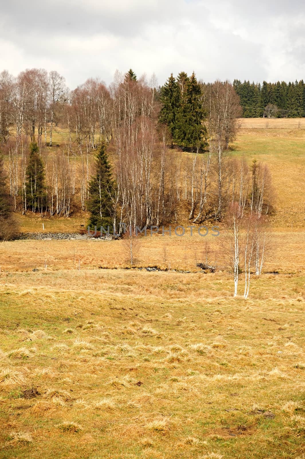 Spring landscape with meadow, trees and hills in Sumava