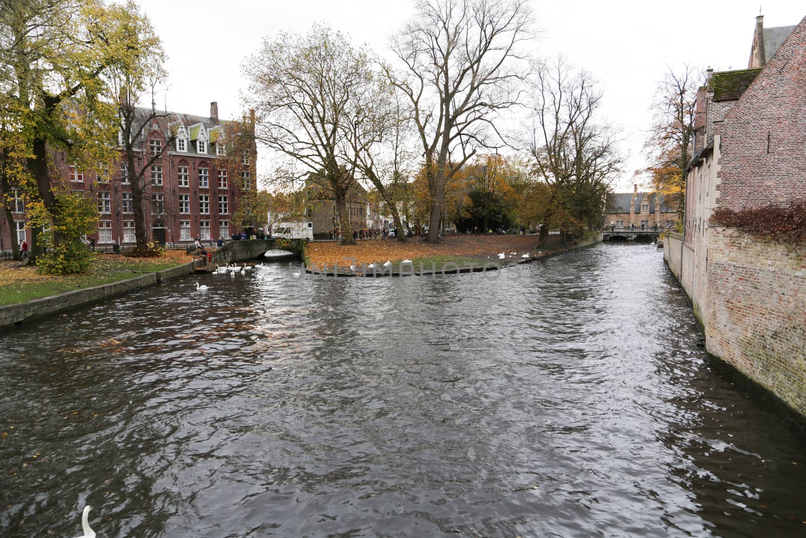 View on canal and houses in Bruges