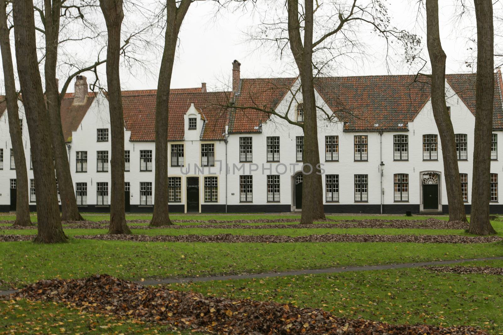 White houses in the court of The Begijnhof. Bruges, Belgium