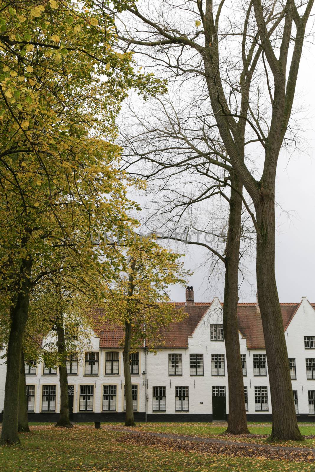 White houses in the court of The Begijnhof. Bruges, Belgium