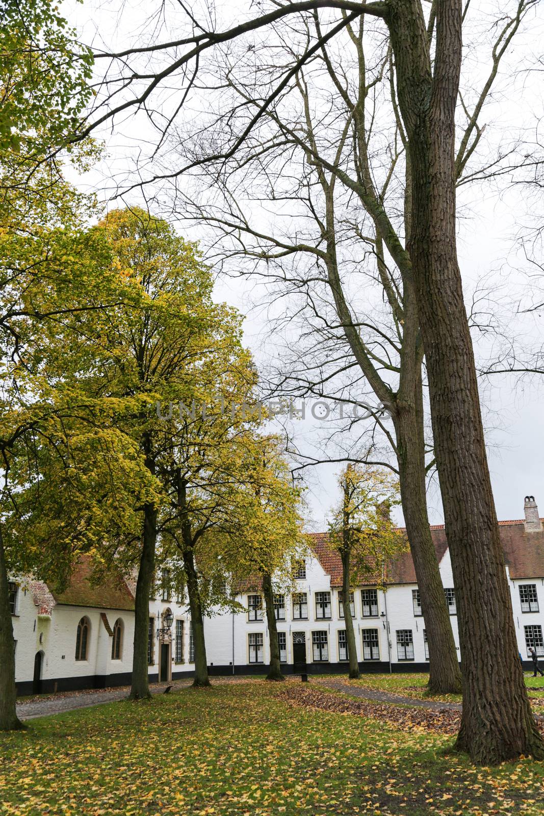White houses in the court of The Begijnhof. Bruges, Belgium