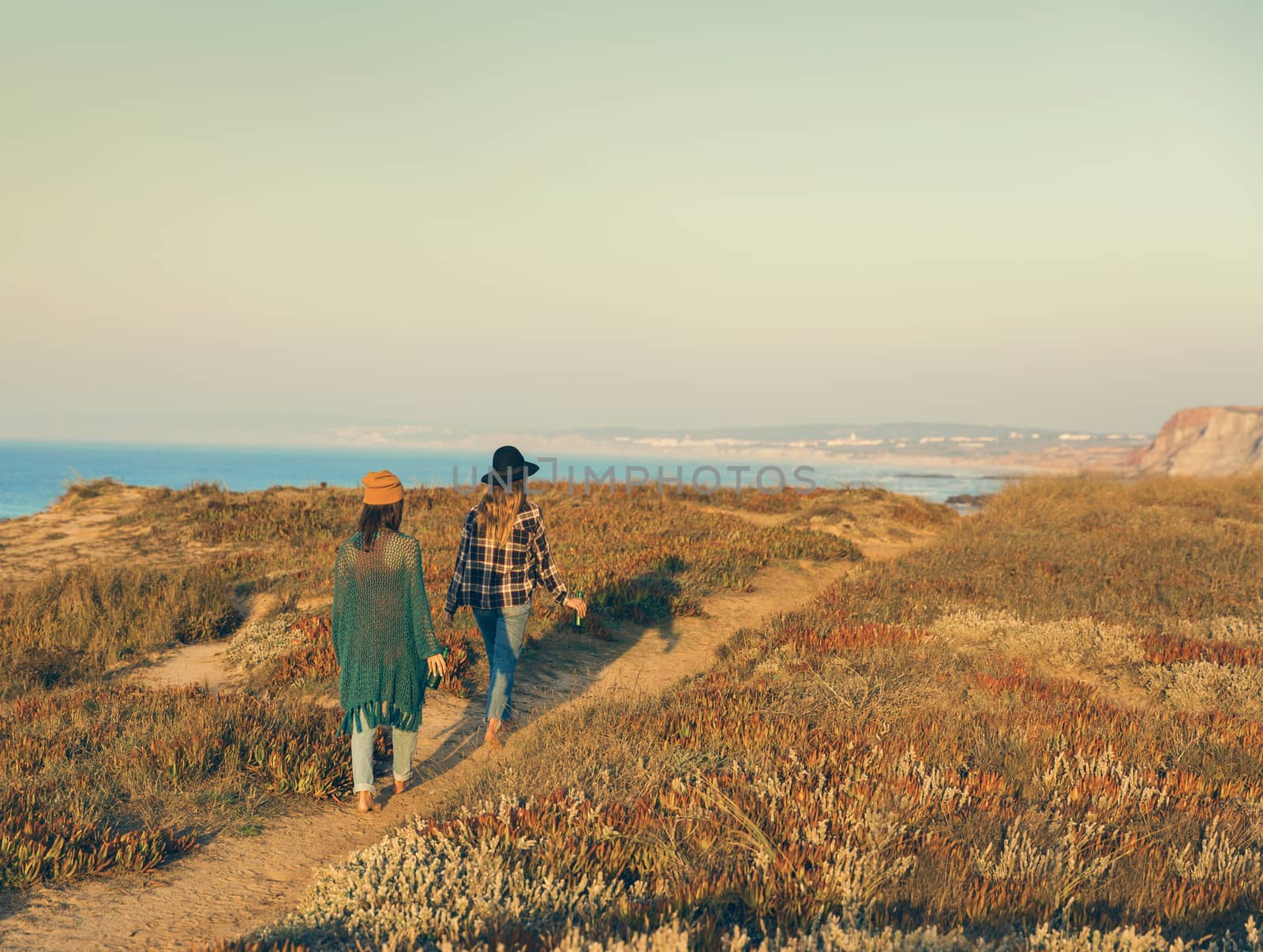 Two best friends walking on the coastline on a beautiful day