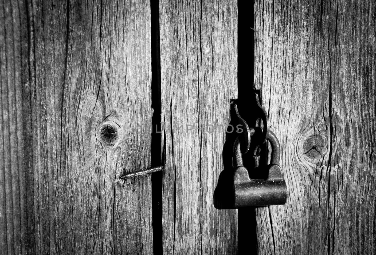 A black and white image with an old lock locked in a wooden door