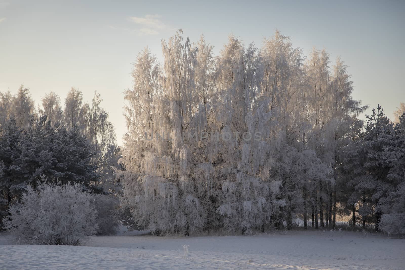 Winter landscape from Pori, Finland by leorantala