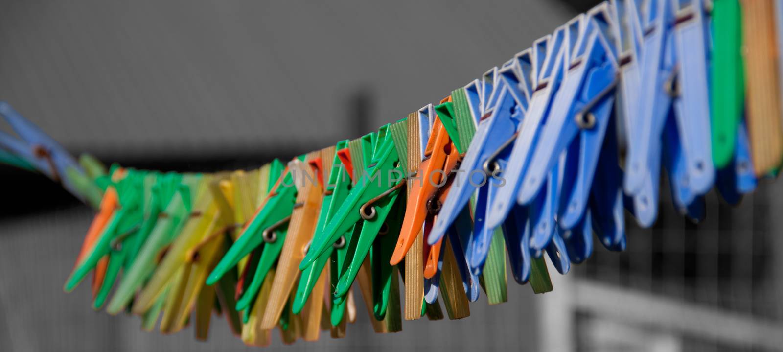 Different color clothespins by leorantala