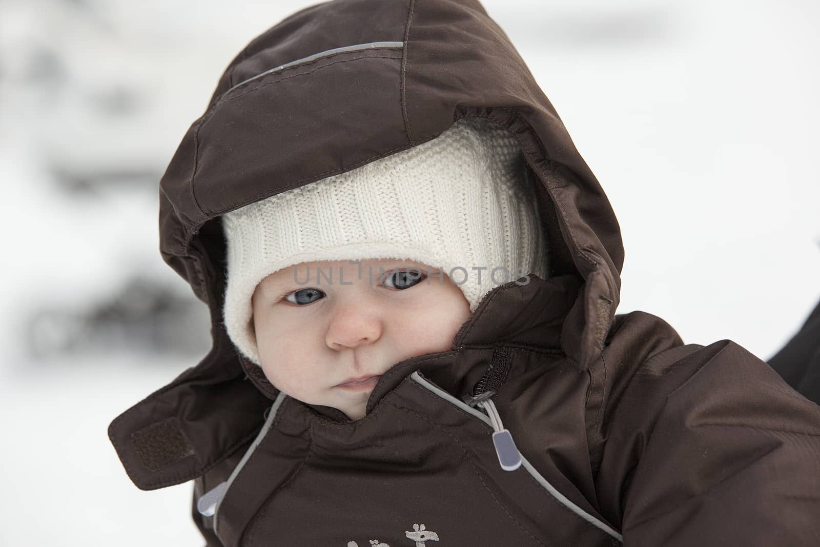 Winter portrait of the cute young boy