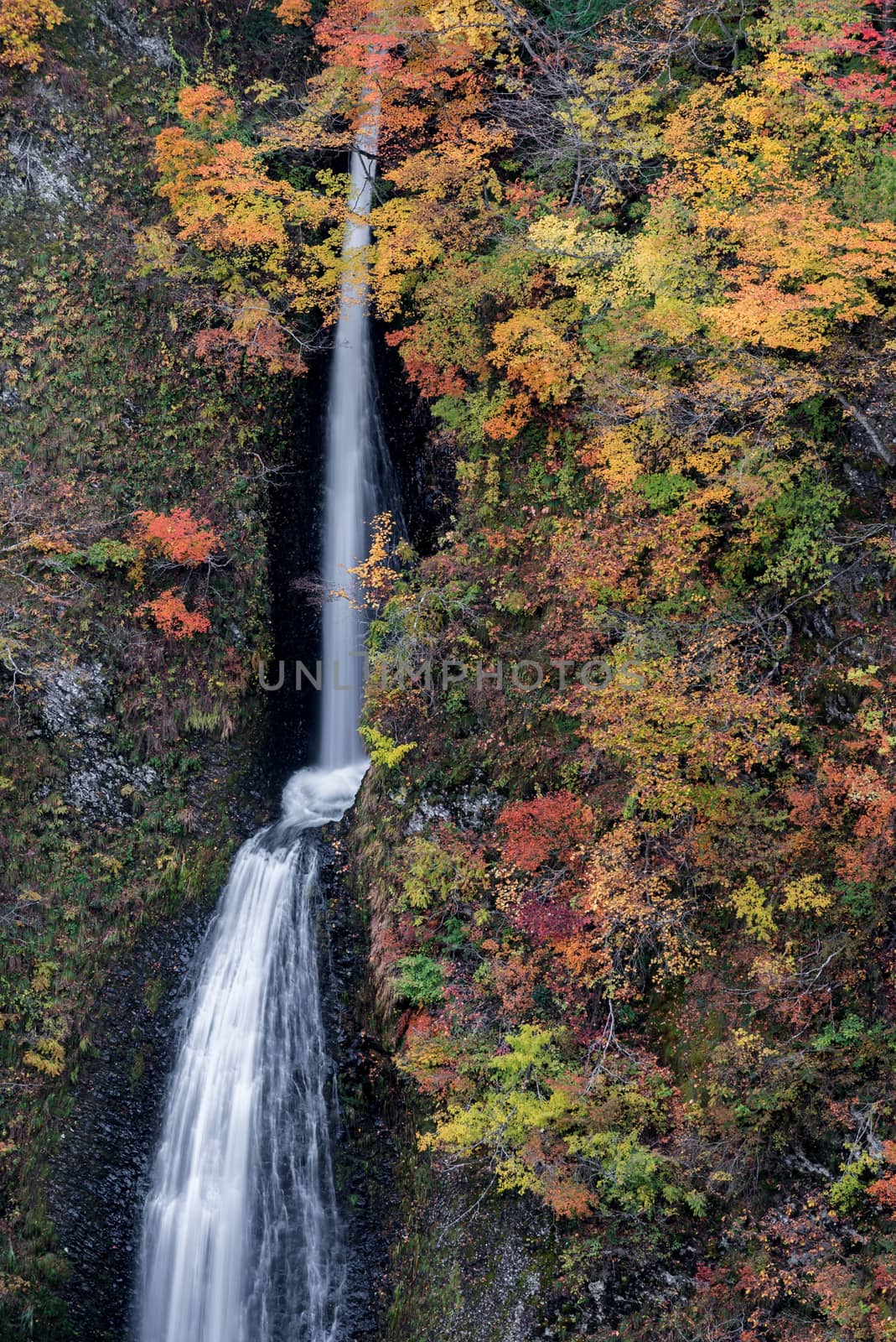 Tsumijikura Taki waterfall in autumn Fall season at Fukushima Japan