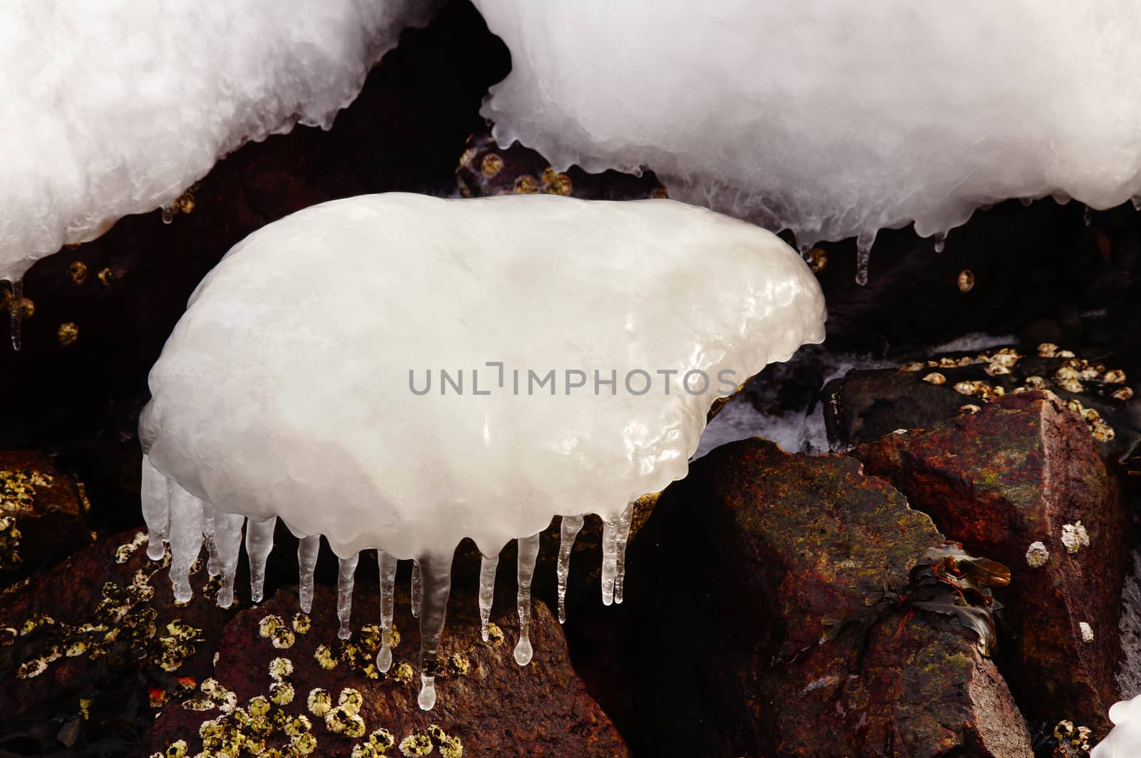 Frozen seawater in winter