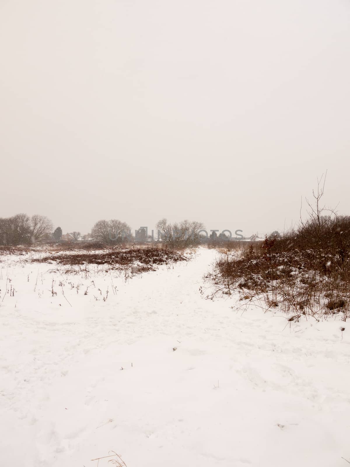 snow covered field meadow outside uk nature white winter field; essex; england; uk