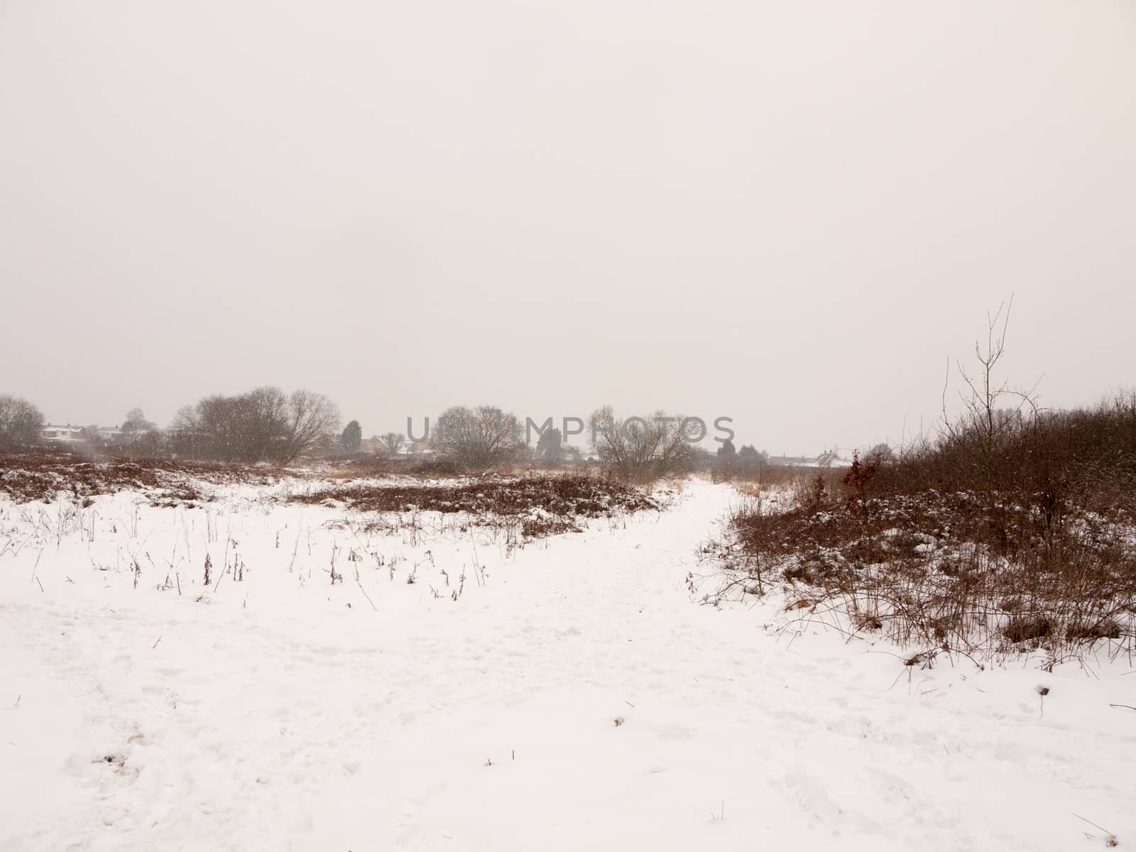 snow covered field meadow outside uk nature white winter field; essex; england; uk