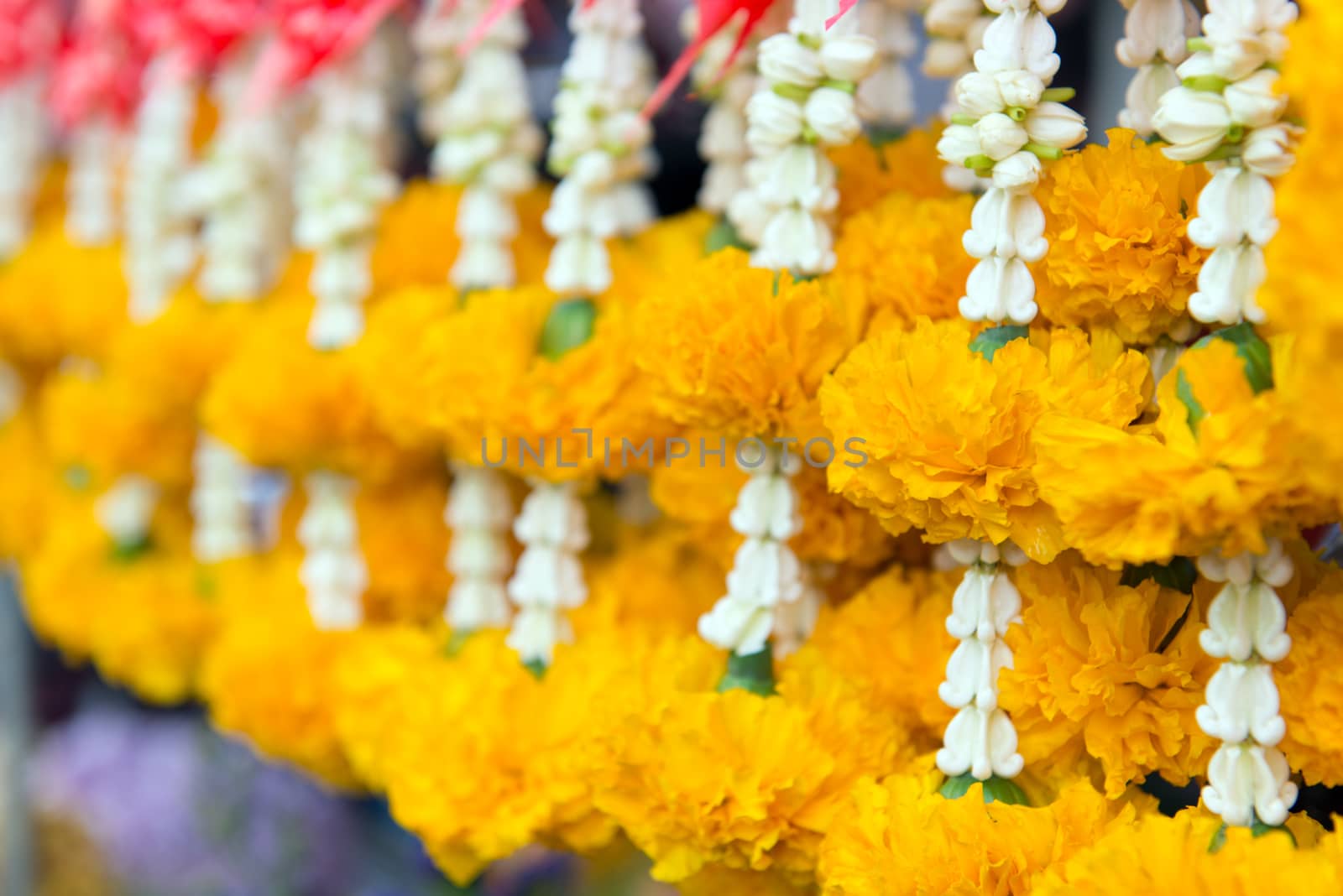 Flower garland contains the yellow Marigold and crown flower by Kenishirotie