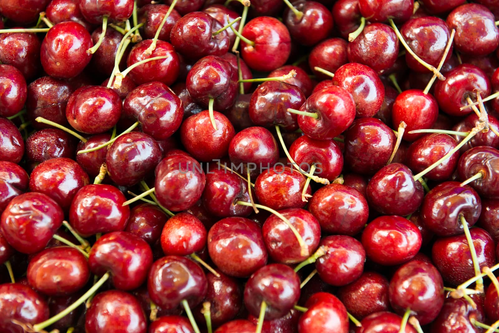 Fresh red cherry macro closeup as background