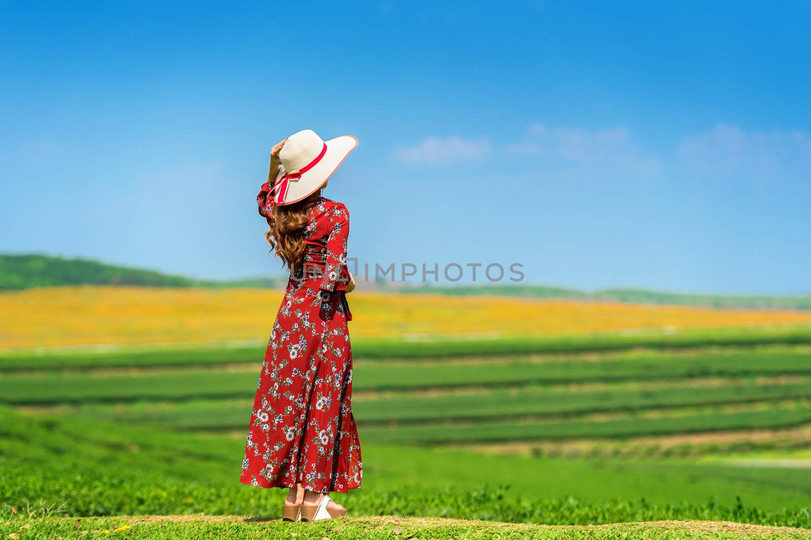 Woman standing on green grass in green tea field. by gutarphotoghaphy