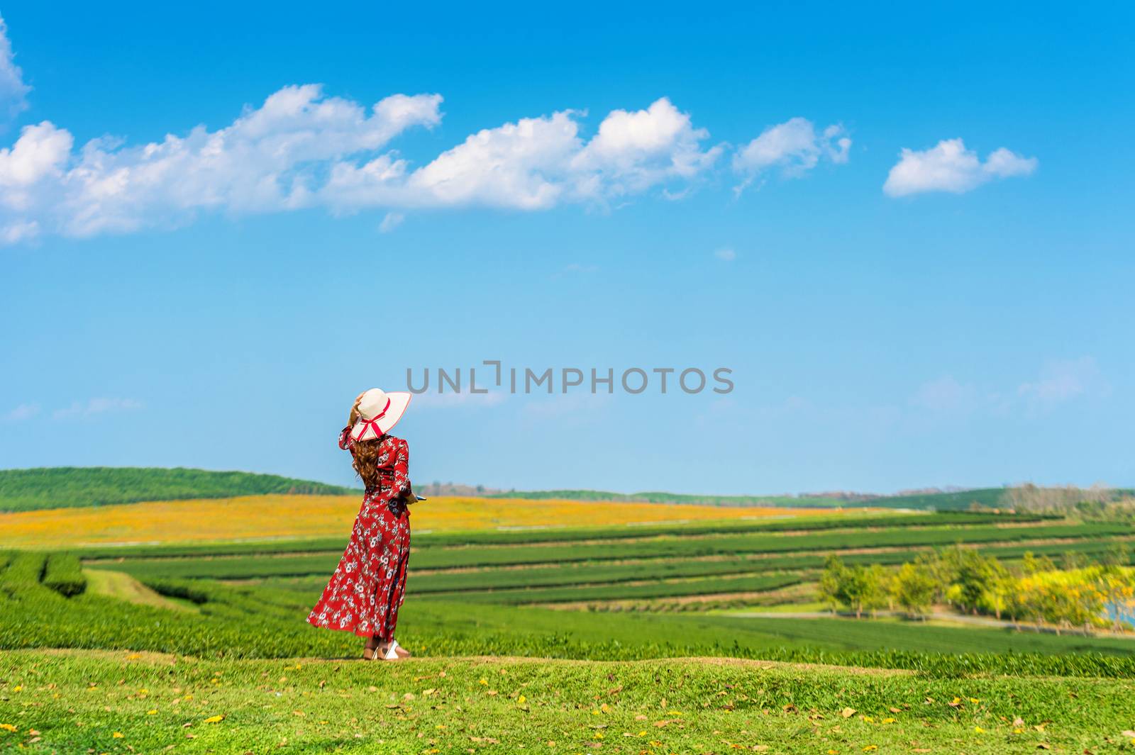 Woman standing on green grass in green tea field.