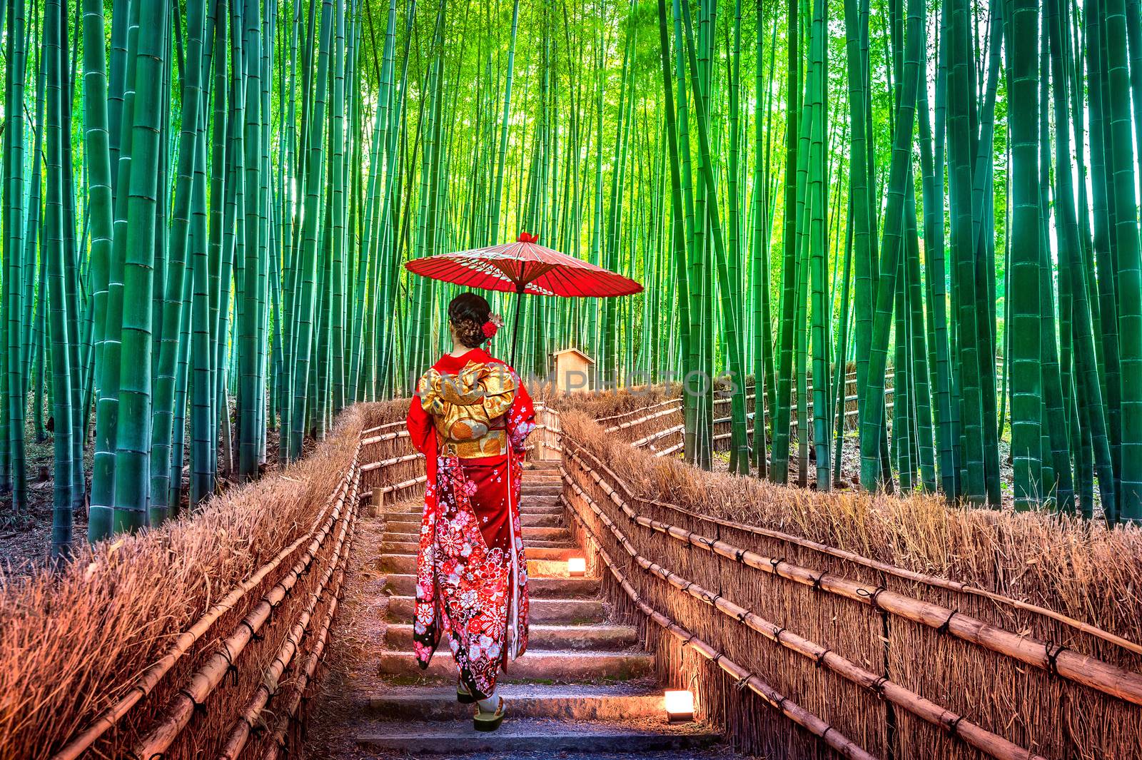 Bamboo Forest. Asian woman wearing japanese traditional kimono a by gutarphotoghaphy