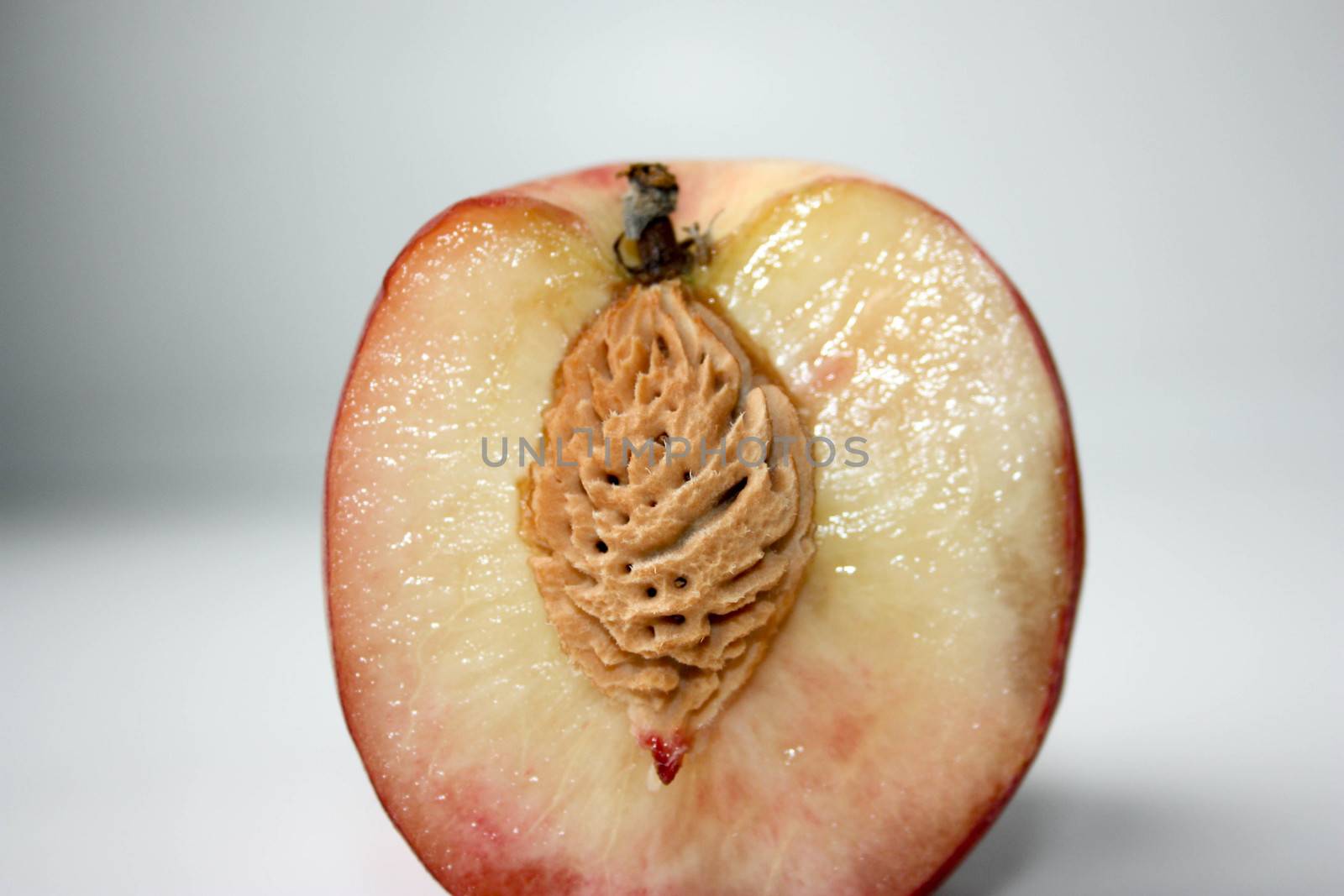 Peach slice. Photo for your design. macro