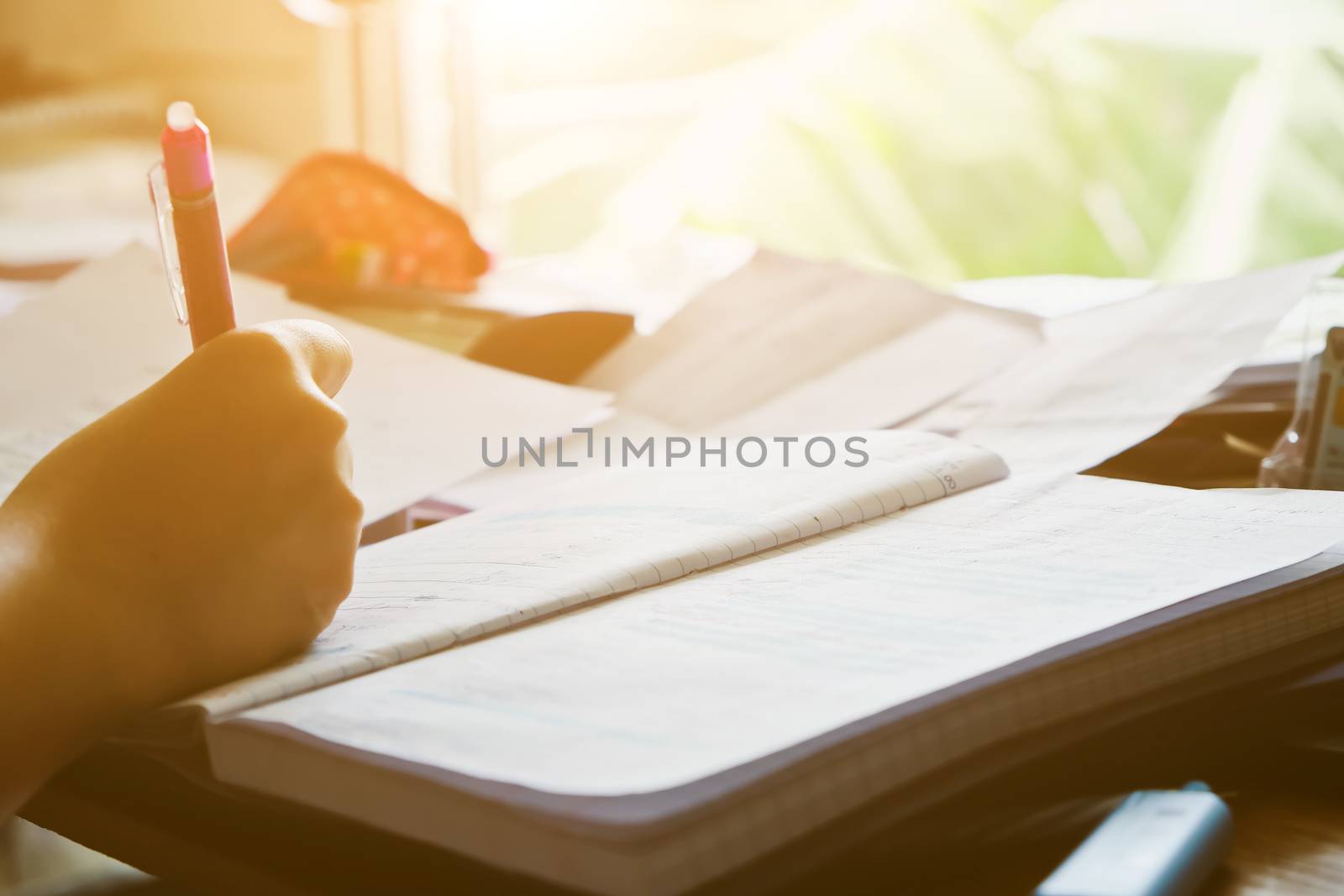 Place of work, working from home, Businesswoman working at home office