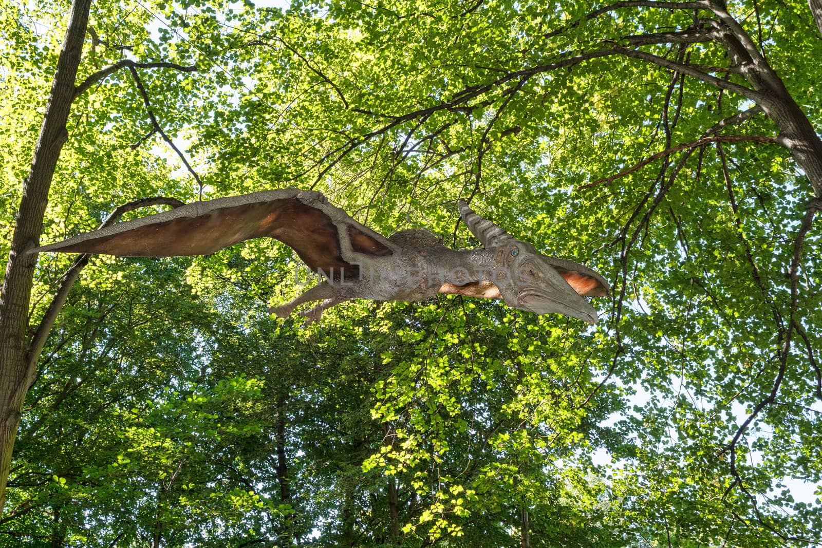 prehistoric flying dinosaur Pteranodon in nature by artush