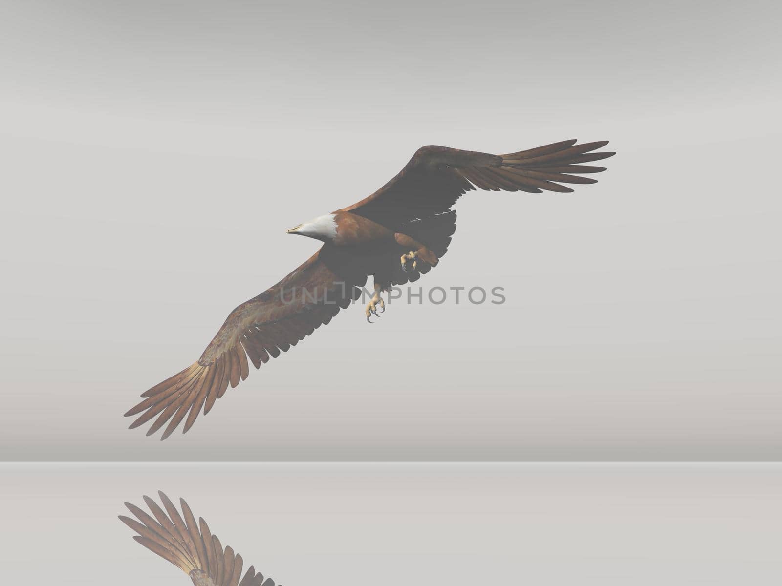 Bald eagle flying - 3D rendering by mariephotos